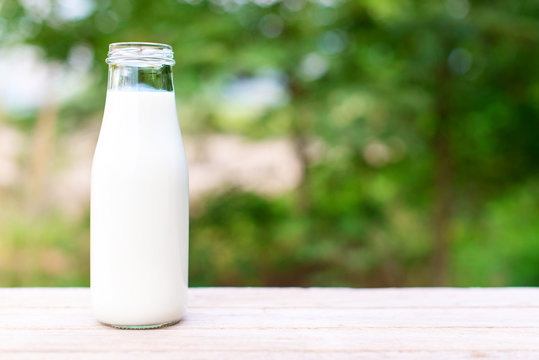 bottle of milk on wooden table with nature background.
