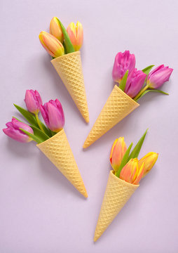 tulips in wafer ice cream cone