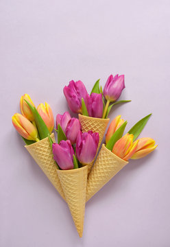 tulips in wafer ice cream cone