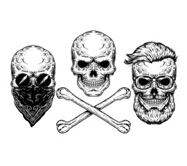  illustration of a skull and crossbones