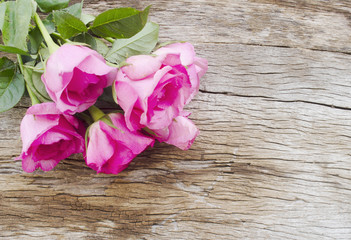 Roses  on old wooden board, Valentines Day background, wedding day.Postcard / greeting card. Pink roses on textured wooden background. Copy space, top view. Panorama