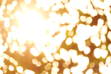 The beautiful color bokeh light and sunny