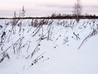A view of a ground covered with snow. Dry bush and trees. Winter landscape. Dramatic sky.  Winter forest.
