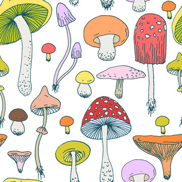 Seamless pattern with Forest mushrooms - vector outline hand drawn sketch. Collection of different mushrooms with roots, real edible and poisonous boletus