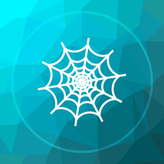 Spider web icon