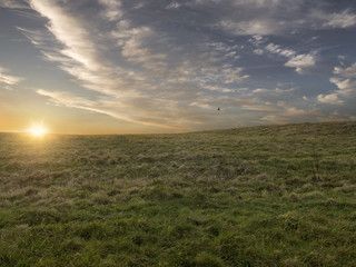 Fototapeta na wymiar Sunset over a grass field.