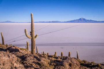 View from Isla Incahuasi, Uyuni, Bolivia