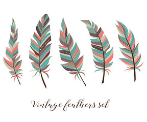 Vintage feathers set. Five elegant feathers of boho style on a white background.