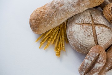 Various bread loaves