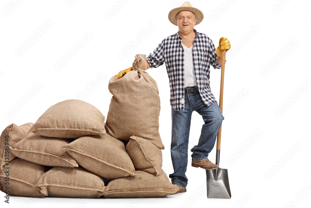 Sticker elderly farmer with shovel next to pile of burlap sacks