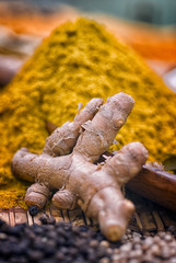 Turmeric root (Curcuma longa)