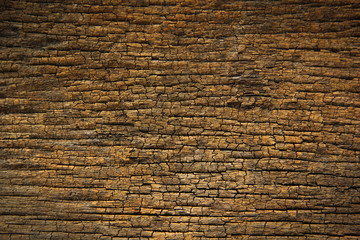 Old wooden surface texture