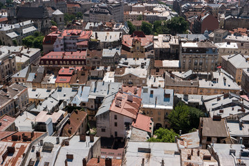 Fototapeta na wymiar Top view of town. Green trees and rooftops. Historic landmarks and old streets.