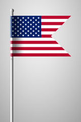 Flag of United States of America. American Flag. National Flag o