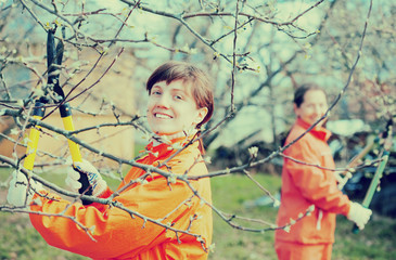  women pruning fruits tree