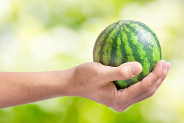 Ripe small watermelon in hand of woman on nature background
