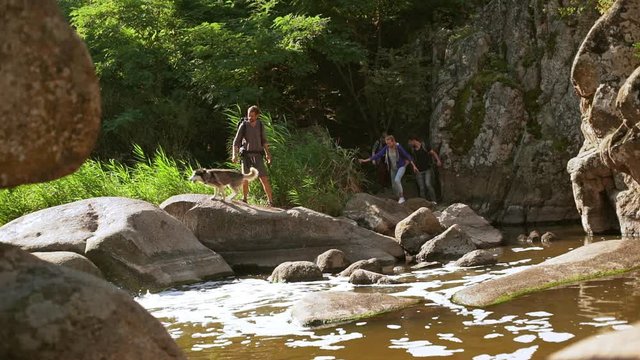 Four tourists with backpacks carefully walking on big rocks with husky dog near river with in slowmotion