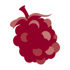 Graphic flat tone depiction of boysenberry/huckleberry fruit with reversed out lighter berries