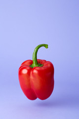 Peperone rosso sospeso