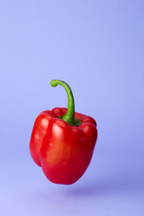 Peperone rosso sospeso