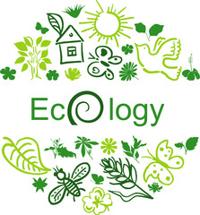 Ecology collection
