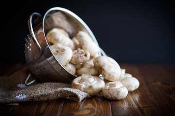 Fresh white champignons in a colander