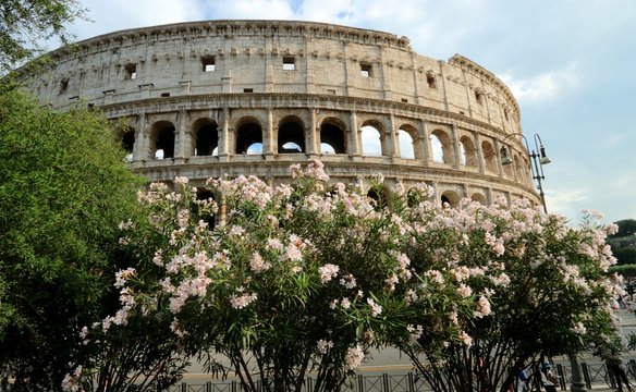 THE COLISEUM OF ROME , ITALY