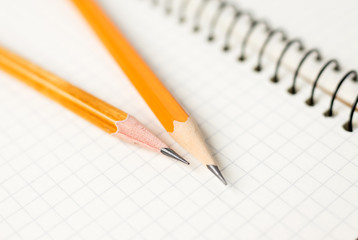 Pencils on the pages of an open notebook for records