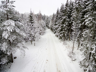 Obraz premium aerial view of winter forest from drone