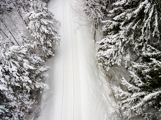 aerial view of winter forest from drone