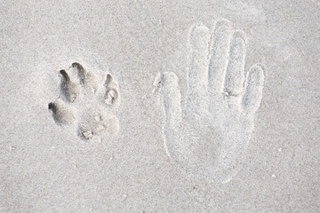 Trace of human hand and dog paw on the sand. Small depth of field - 133532933