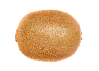 single kiwi fruit