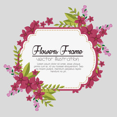 cute flowers frame background vector illustration design