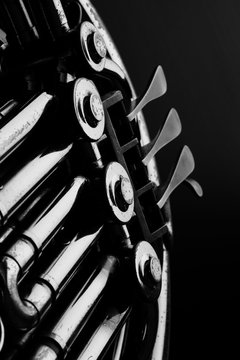 French horn, black and white