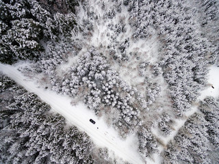 aerial view of winter forest from drone