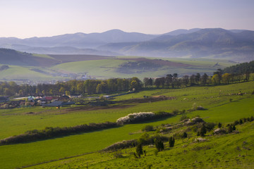 Fototapeta na wymiar Corn field landscape with mountains in background