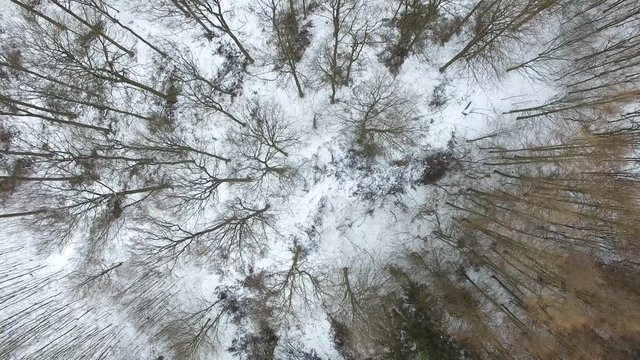 aerial view fly over winter forrest landscape in germany - dronen flight