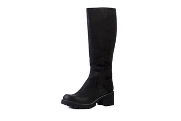 Spring women's boots on a white background, online catalog