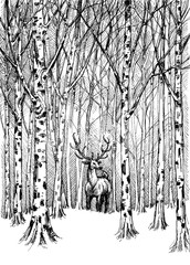 Obraz premium Wildlife carbon drawing. Deer in winter forest