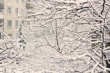 Obraz premium Branches of trees in snow and falling snow near residential block of flats retro colored