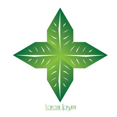 Isolated abstract nature business logo, Vector illustration