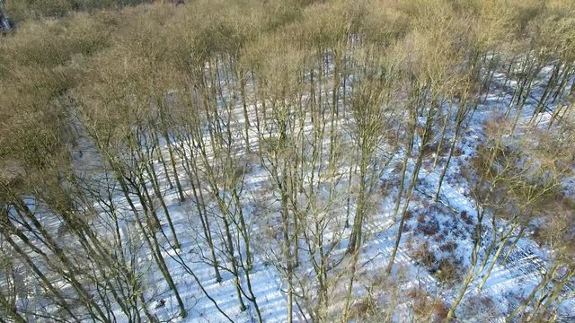 aerial view fly over winter forrest landscape in germany - dronen flight