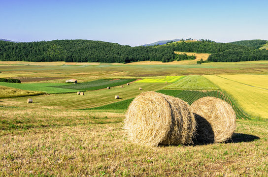 Parco di Colfiorito (Umbria)