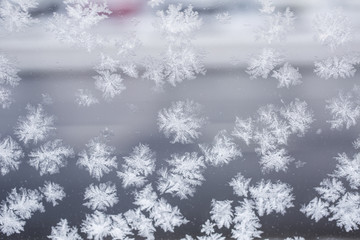 Macro snowflakes frozen a window glass