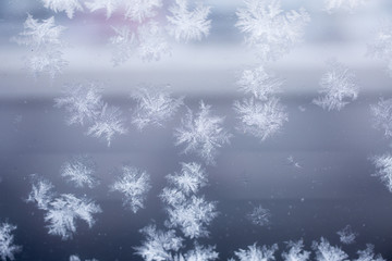 Fototapeta na wymiar Macro snowflakes frozen a window glass