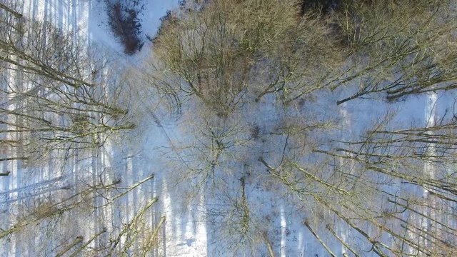 aerial view fly over winter forrest landscape in germany - dronen flight