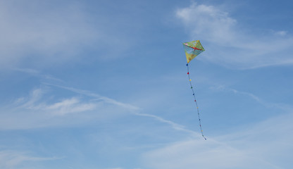 Fototapeta na wymiar kite in blue sky