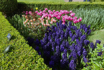 Parterre printanier.