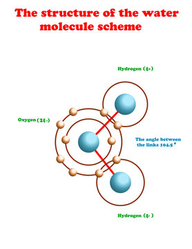 H2o water molecule sceme. Water molecule structure info graphic.