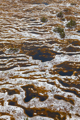 The first snow on a marshes, top view